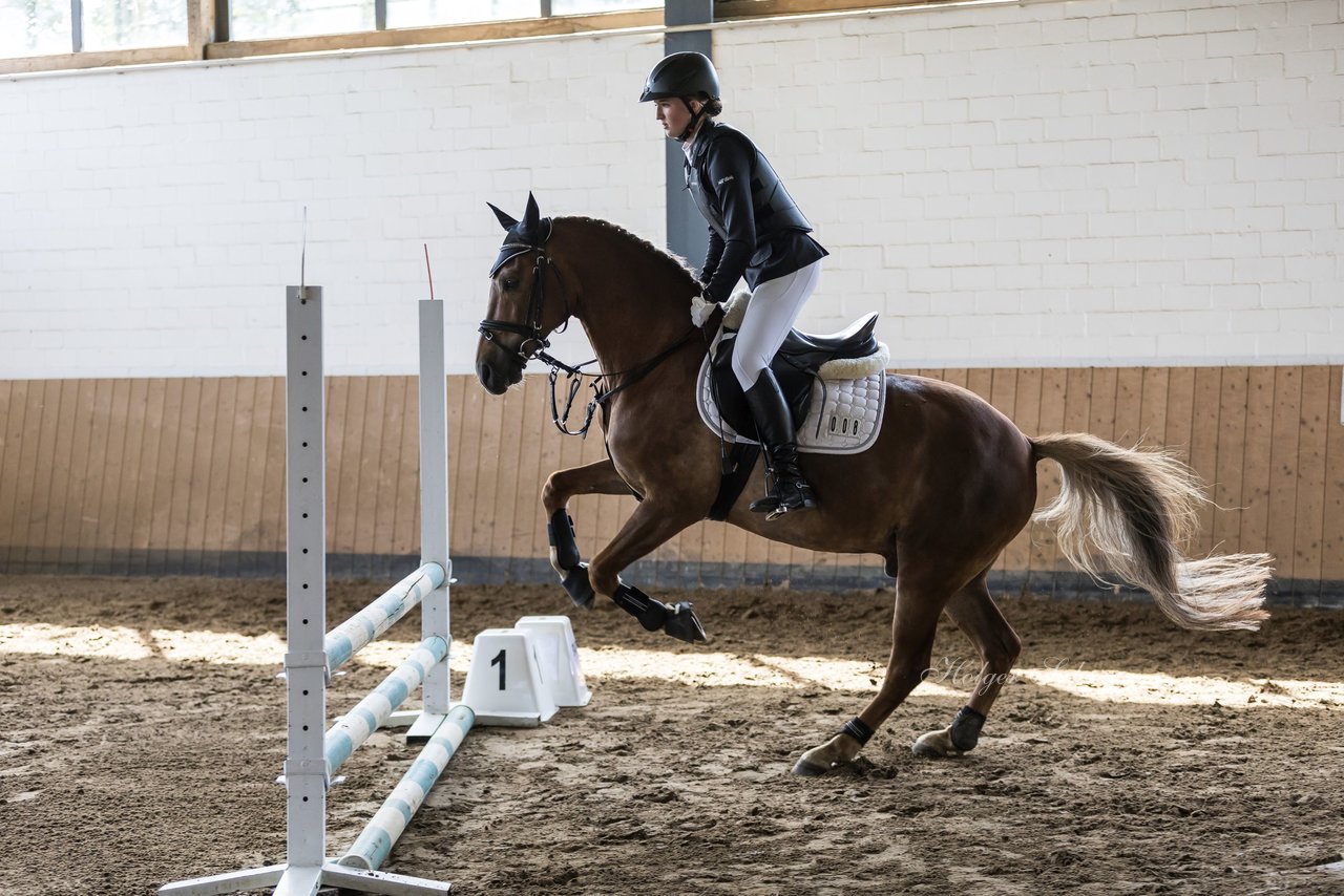 Bild 4 - Pony Akademie Turnier